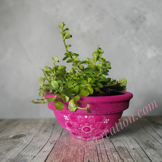 Kaspó- kb.19x8 cm, magasság 10 cm